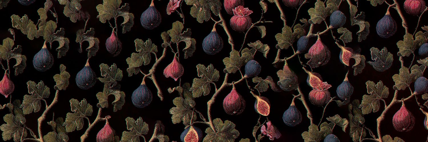 paulana banner