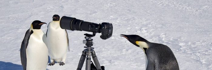 thisprogrammer's profile banner image