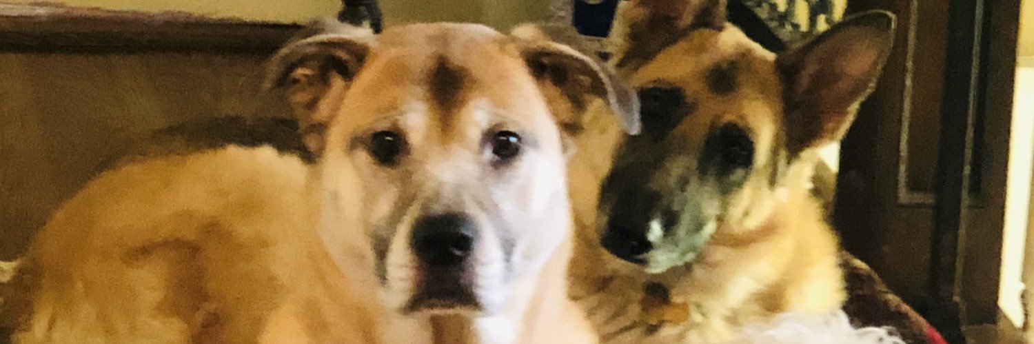 Leigh Espy PMP SPC banner