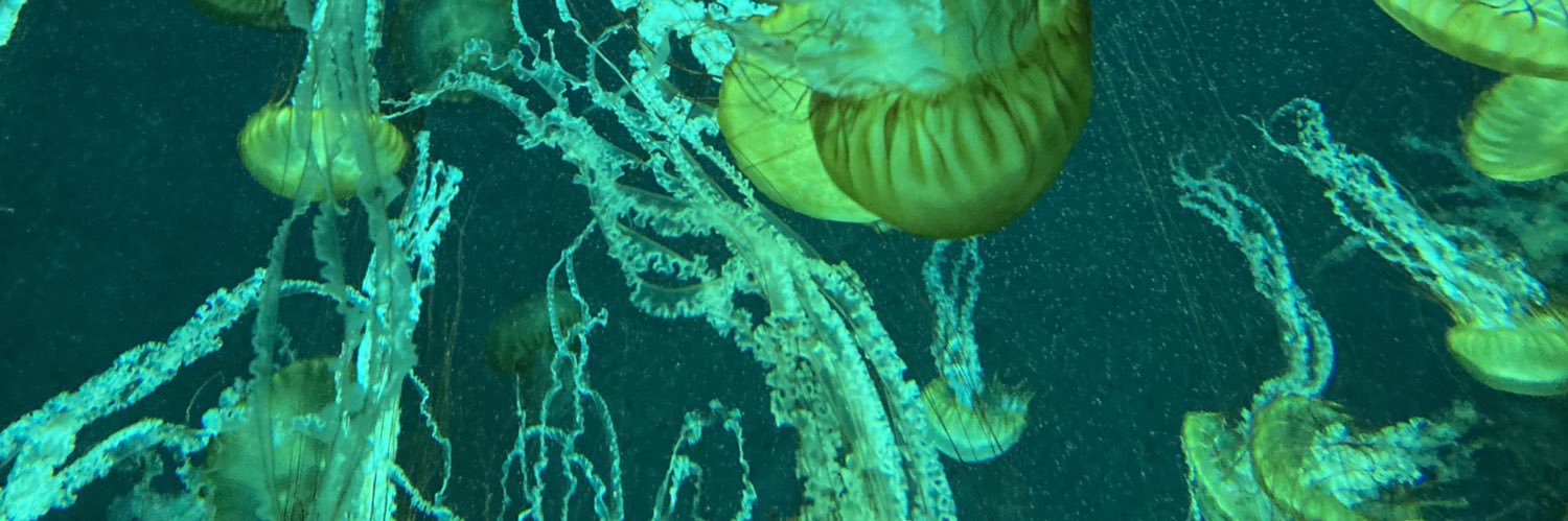 あおりんご banner