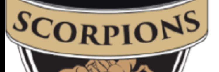 LosAngeles Scorpions banner