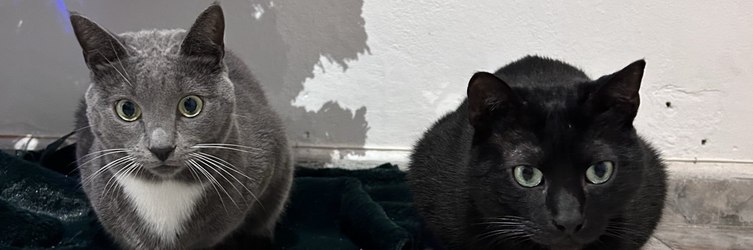 Kigp's profile banner image
