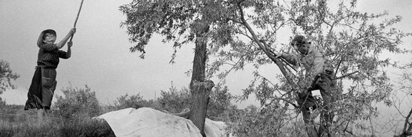 M_Agathocleous Profile Banner