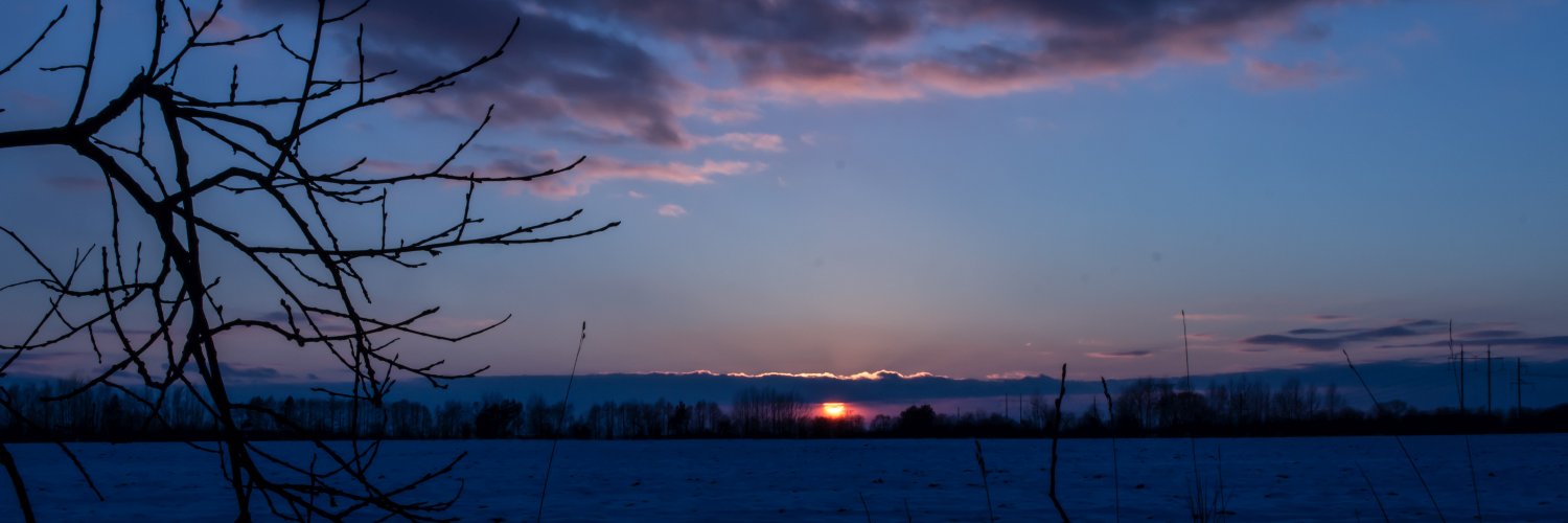 Лиза banner