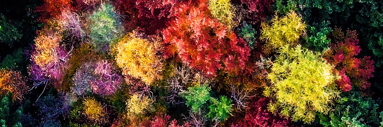 O seu amIgor 👍🏽 banner