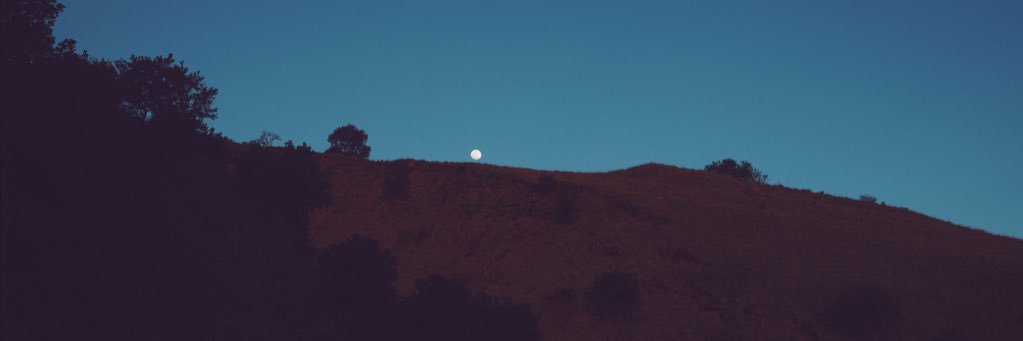 苏珊 banner
