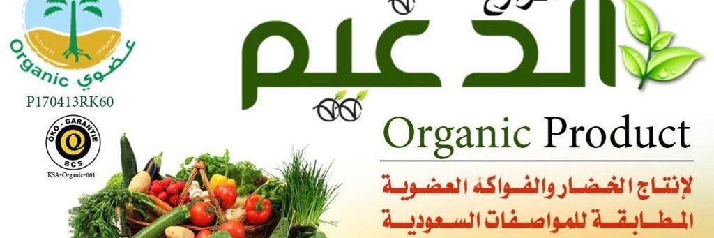 dap1377's profile banner image