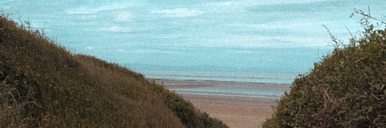 Clo_Muse's profile banner image