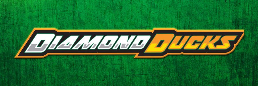 Coconut Creek Diamond Ducks banner