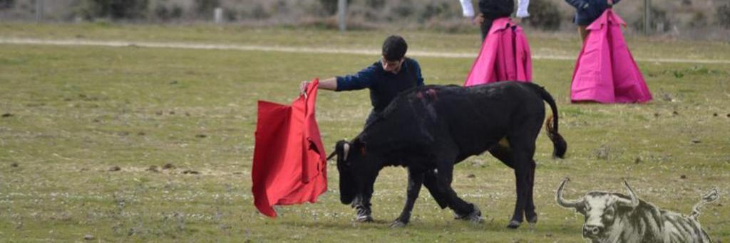 Curro Linares banner