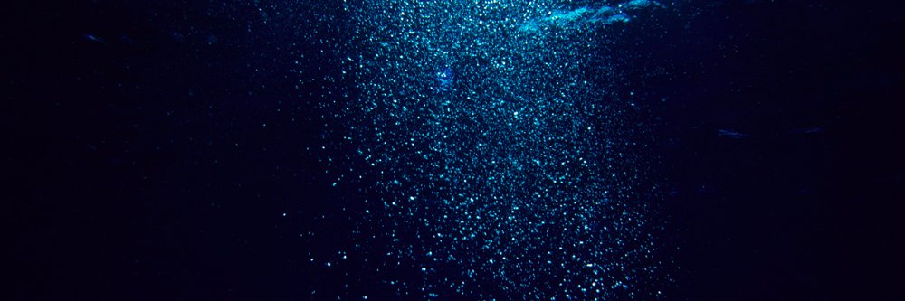 LevitanOrly's profile banner image