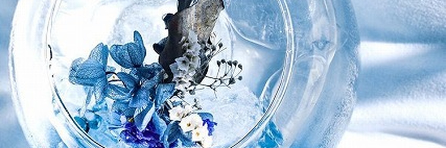 trashunda's profile banner image