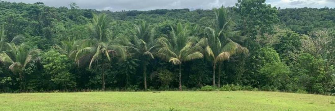 AngSunogBaga's profile banner image
