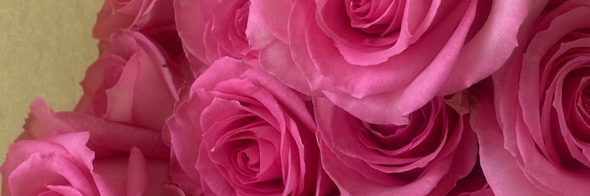 Thelibraagirl's profile banner image