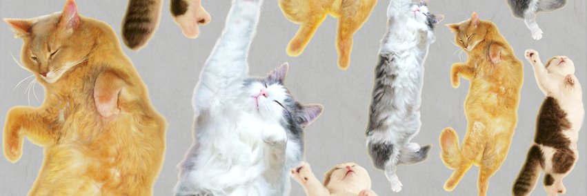jitsurocu's profile banner image