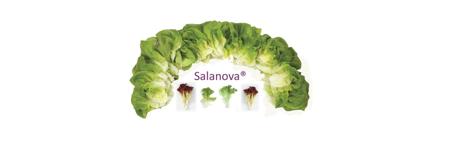 Salanova_es's profile banner image