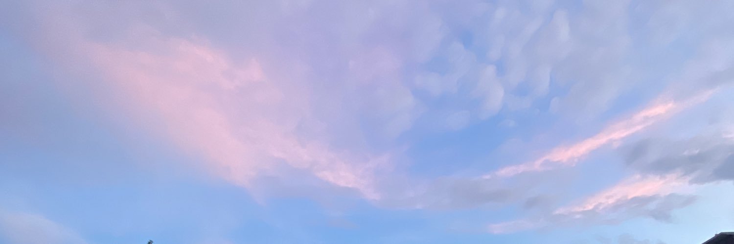 franzeskass's profile banner image