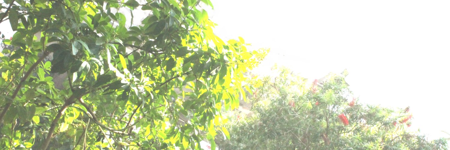 jex_leidy's profile banner image
