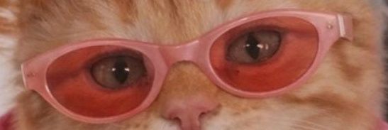 p banner