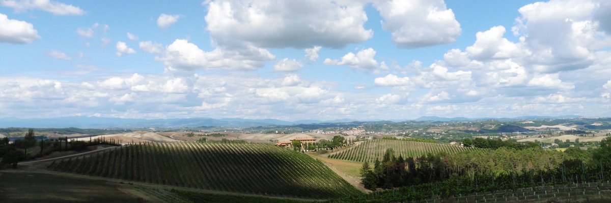 ste_panzeri's profile banner image