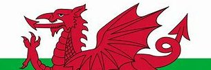Dave Law banner