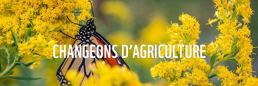 J'aime le système banner