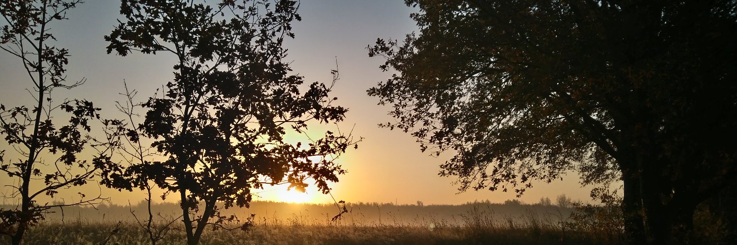 noorderlisa's profile banner image