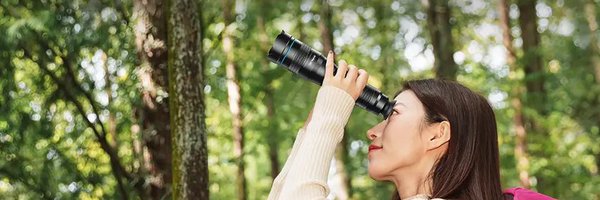 apexelindia Profile Banner