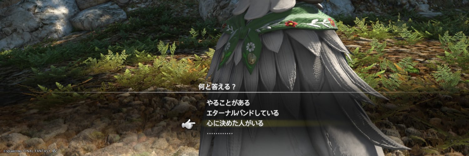 mochoru's profile banner image