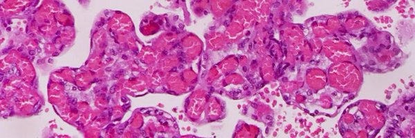 jnardnas Profile Banner