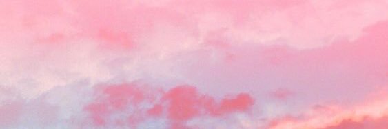 shellanaa's profile banner image