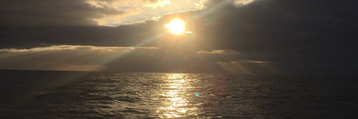 Виталий Червинский banner