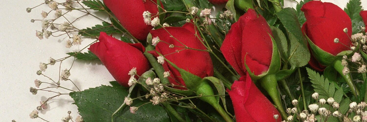 TaYYaB_M_sMs's profile banner image