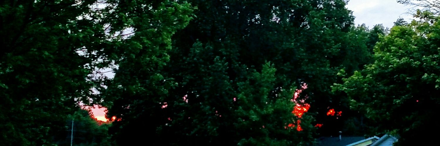 tardisdog's profile banner image