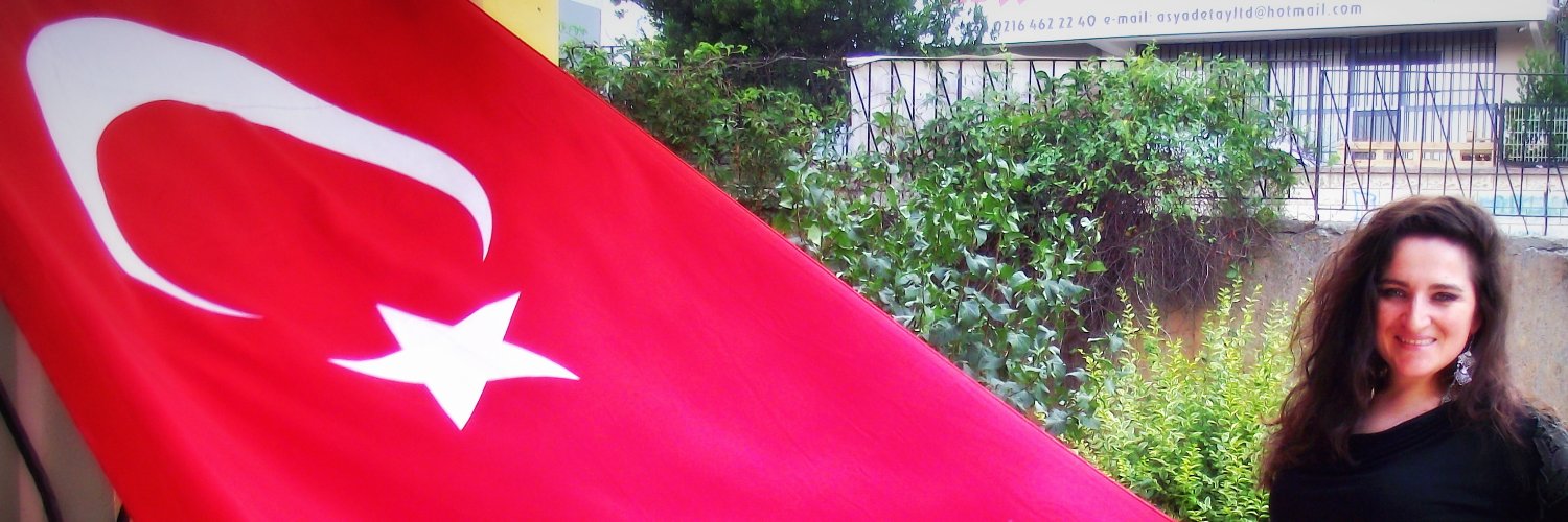 AyselEdiz's profile banner image