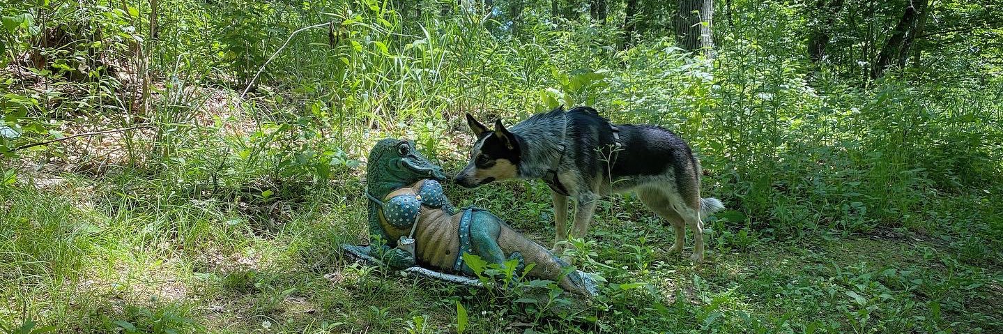 Elizabeth Beyer banner