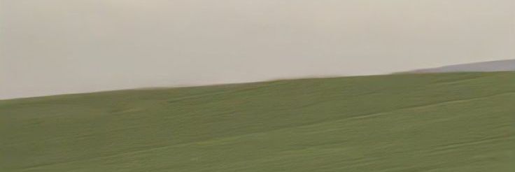 lo3m11's profile banner image