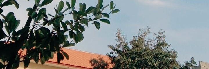 dwinda_kusma's profile banner image