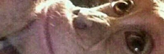 t0lgaaslan's profile banner image