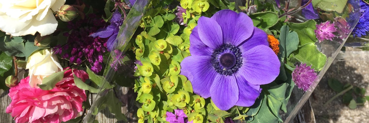 Axminster Country banner