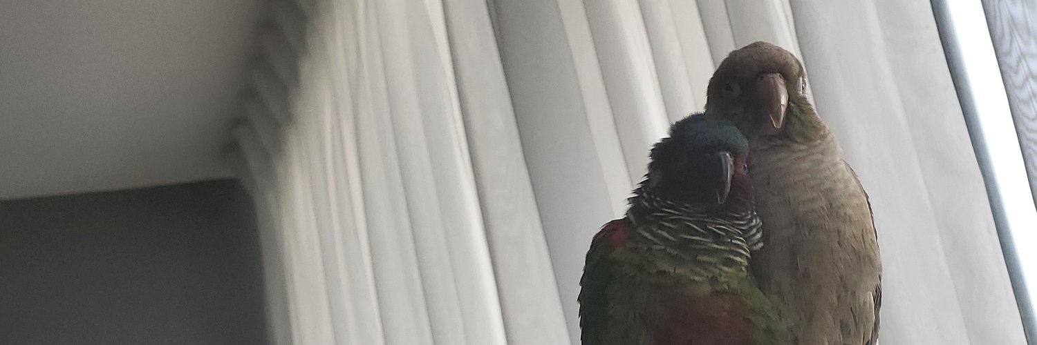 coromasta91's profile banner image