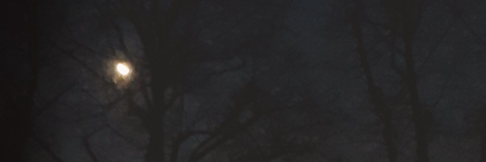 SilentCure's profile banner image