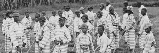 The Stone The Builder Refused banner