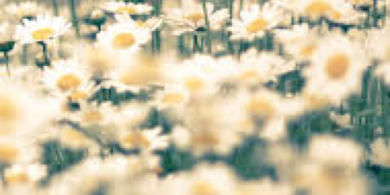 HonestyGray's profile banner image