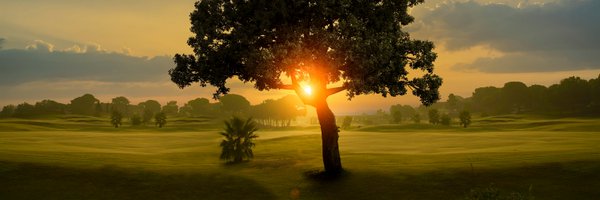 PBIGordonTurf Profile Banner