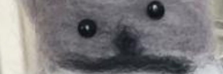 Shlingg's profile banner image