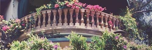 Tropico 🇵🇸🇲🇦 banner