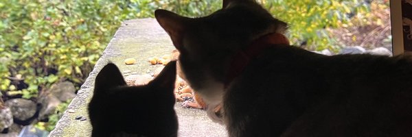 ragepuff Profile Banner