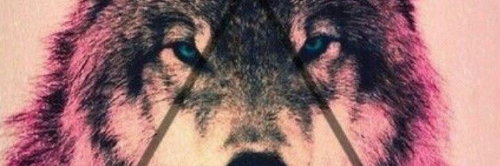 raqueelar's profile banner image