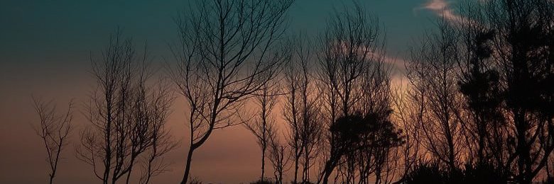 AFResti's profile banner image